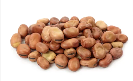 Egyptian Fava Beans
