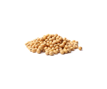 Dried Cowpeas